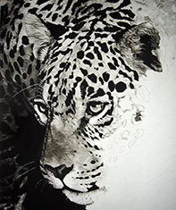 Steps in the process of charcoal art