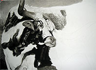 Steps in the process of charcoal art