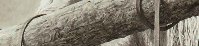 detail of artwork