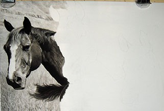 process_graces_1
