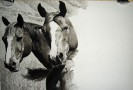 process_graces_2