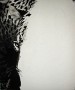 process_santa_1